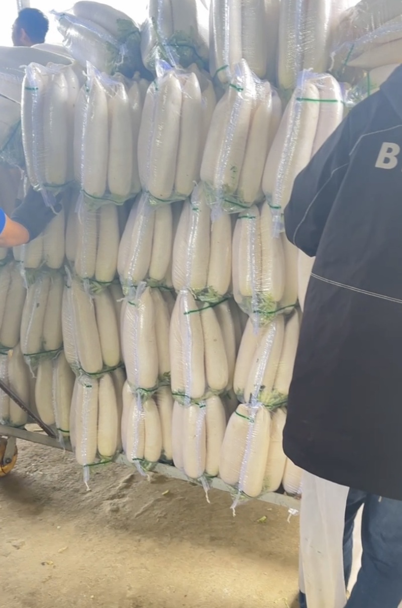 精品白萝卜散装袋装均可支持