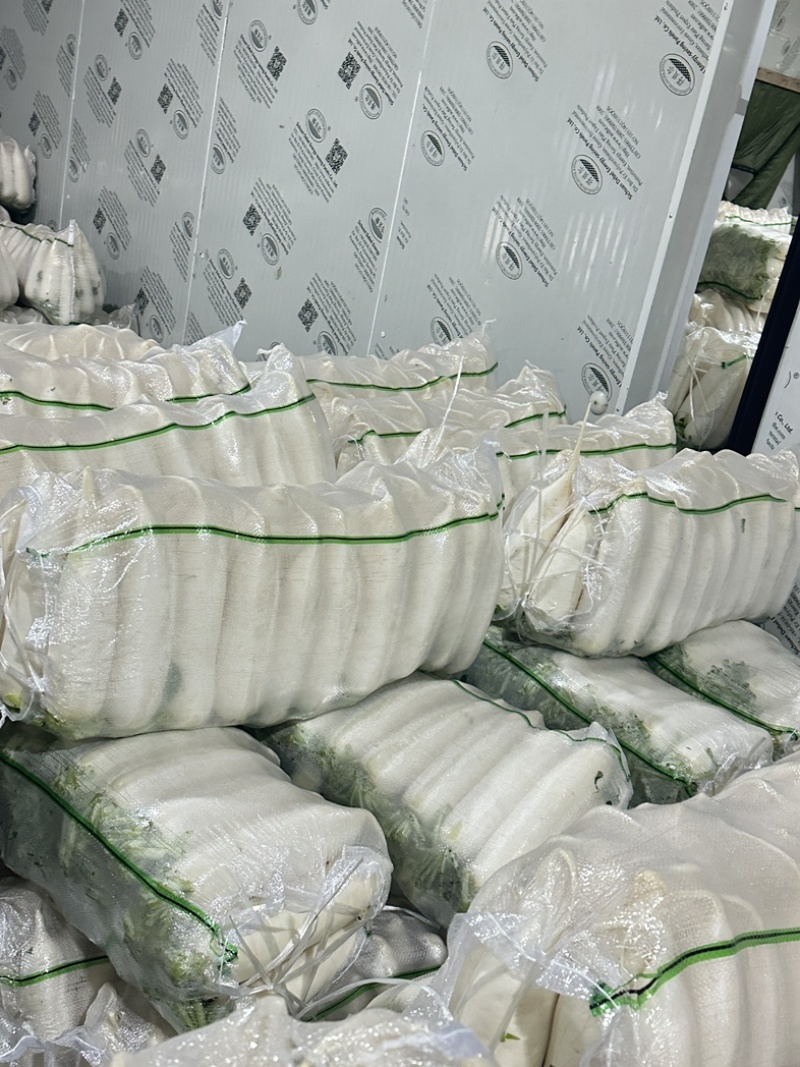 精品白萝卜散装袋装均可支持