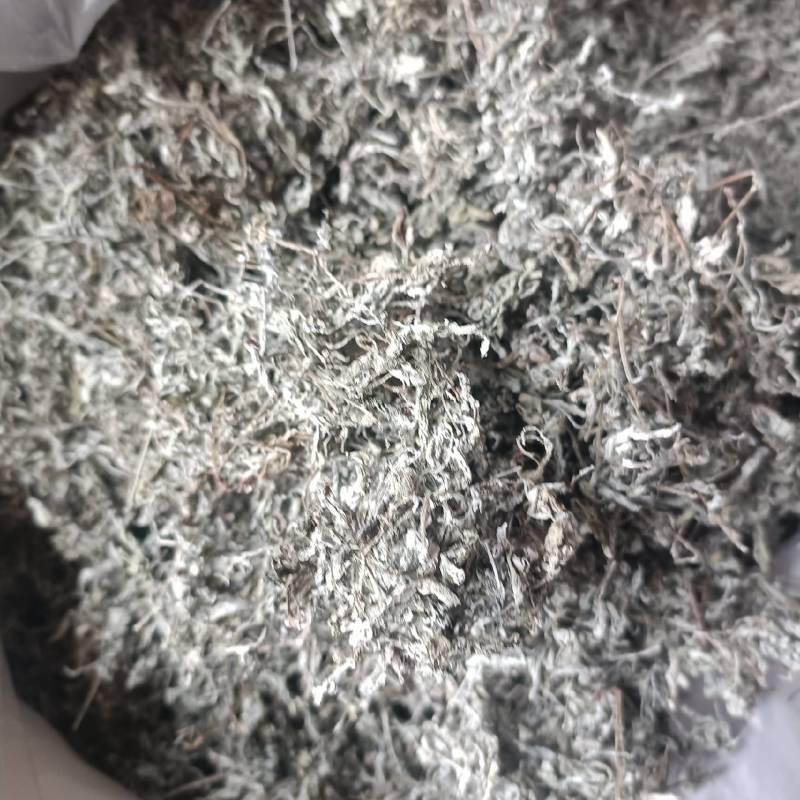 正宗野生藤茶中档芽茶嫩茶非张家界农家自制咽喉亮嗓茶
