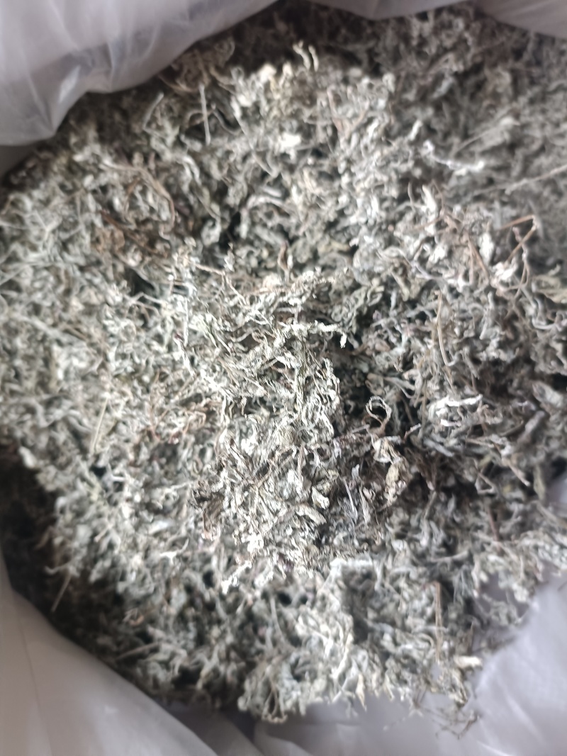 正宗野生藤茶中档芽茶嫩茶非张家界农家自制咽喉亮嗓茶