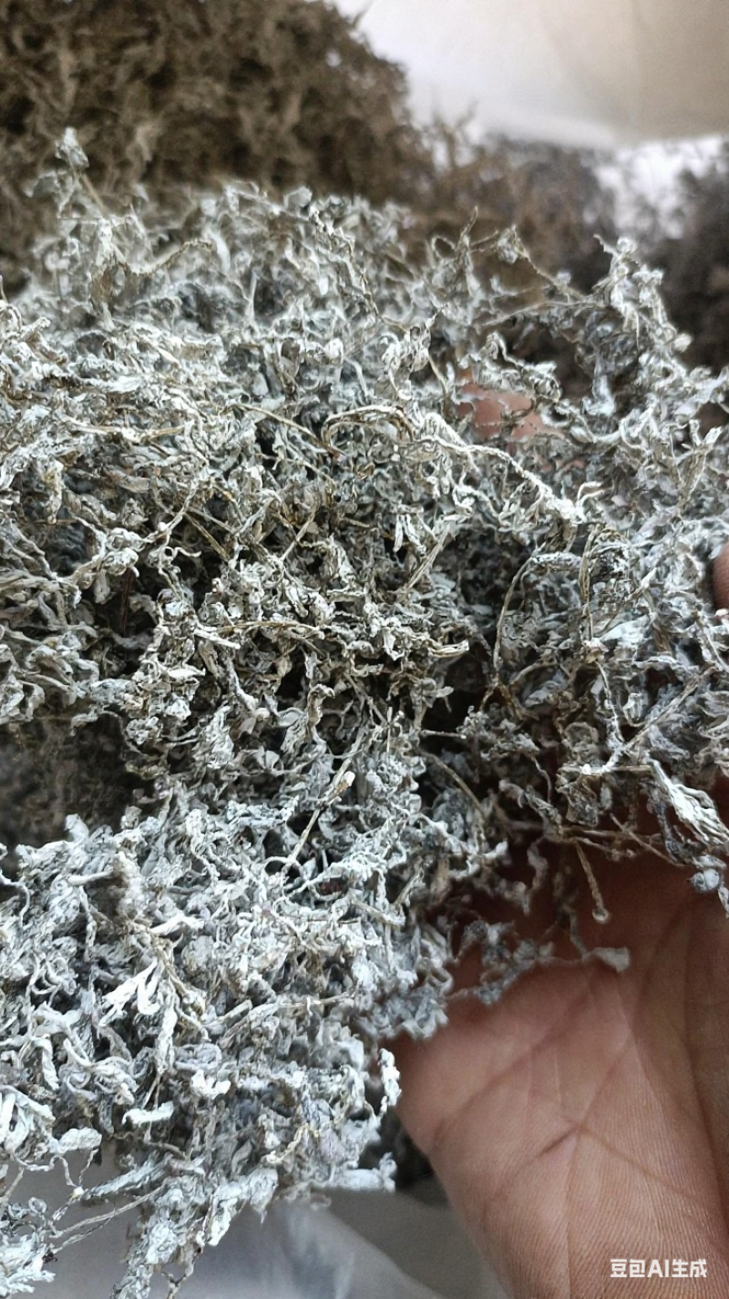 正宗野生藤茶中档芽茶嫩茶非张家界农家自制咽喉亮嗓茶