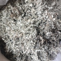 正宗野生藤茶中档嫩茶非张家界农家自制咽喉亮嗓茶