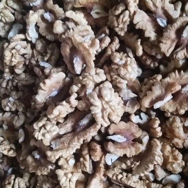 185纸皮核桃仁