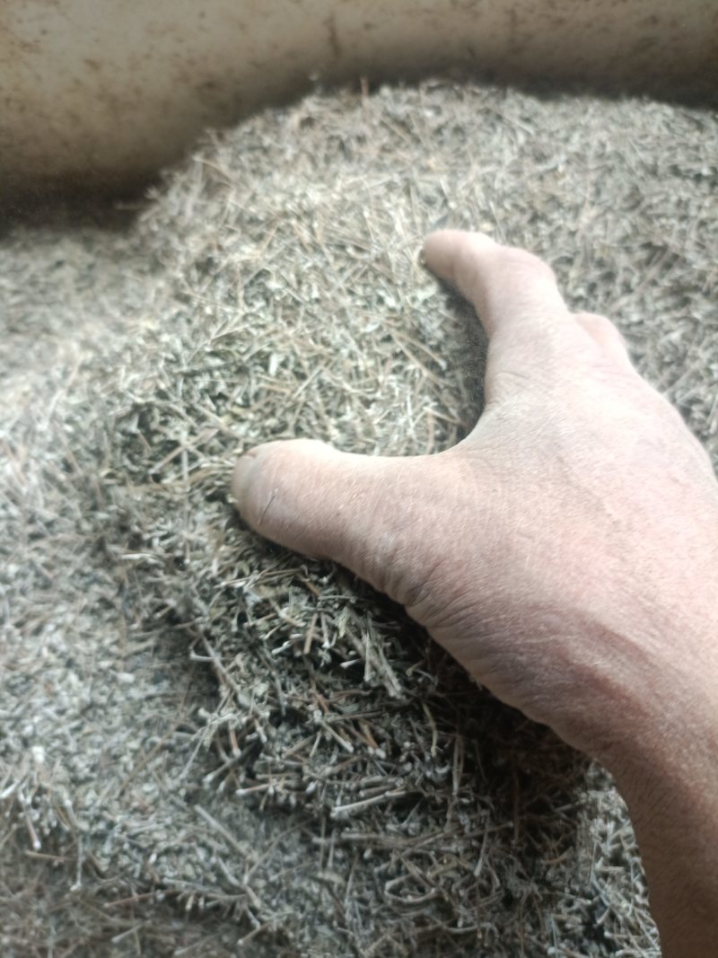 野生藤茶机器筛选嫩梗碎沬茶可代泡提取源材料工业可用