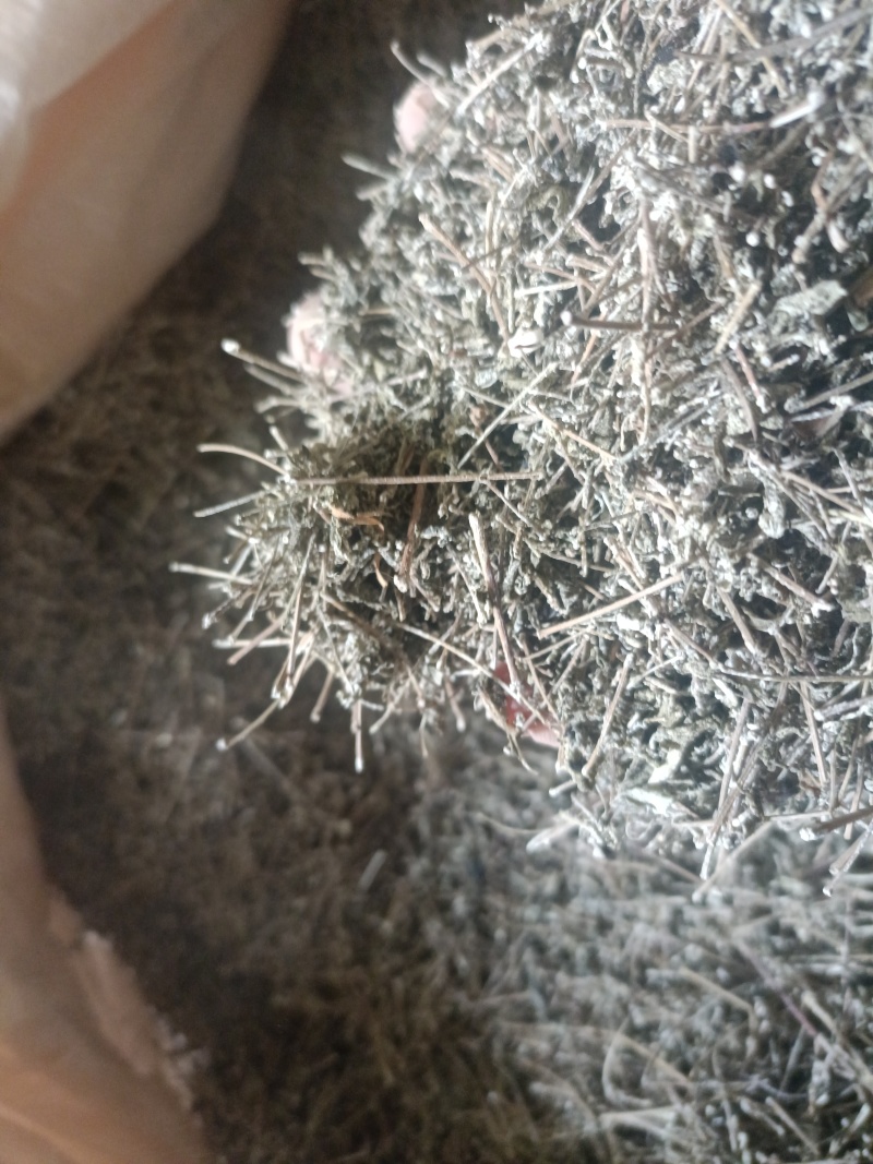 野生藤茶机器筛选嫩梗碎沬茶可代泡提取源材料工业可用