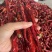 二荆条批发，大量现货速发，保质保量欢迎选购
