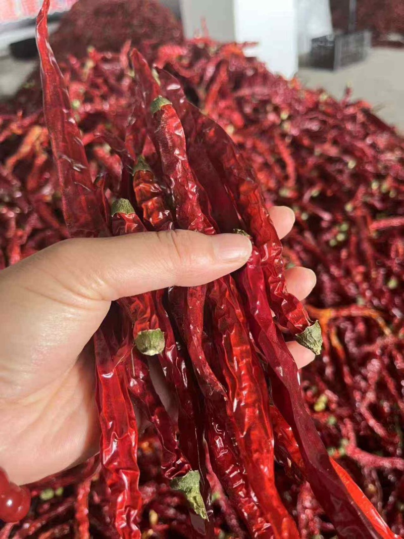 二荆条批发，大量现货速发，保质保量欢迎选购