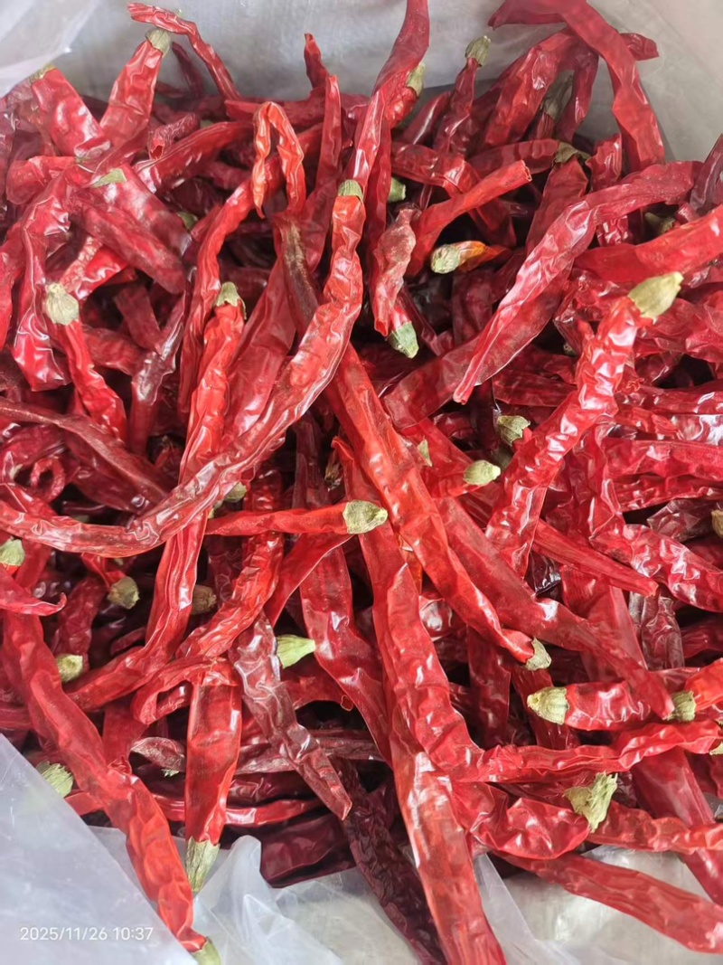 二荆条批发，大量现货速发，保质保量欢迎选购