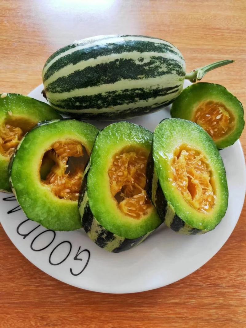 博洋9号博洋九号博洋61号香瓜甜瓜一件代发落地配
