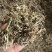 花生秧牛羊草料