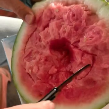 无籽麒麟西瓜