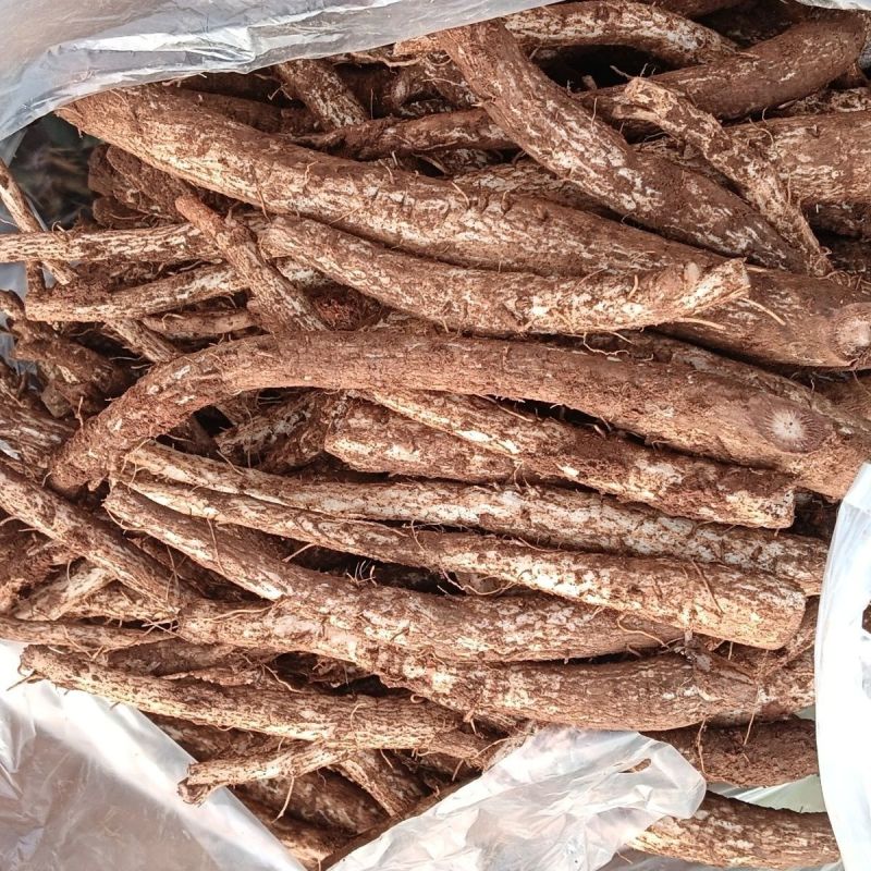 现挖现发新鲜马刺根/全国发货/对接工厂全国发货