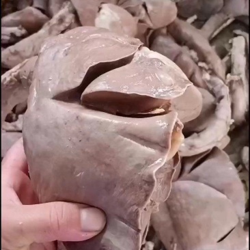 羊肺…羊杂汤羊杂全套加热即食羊肉真空加热
