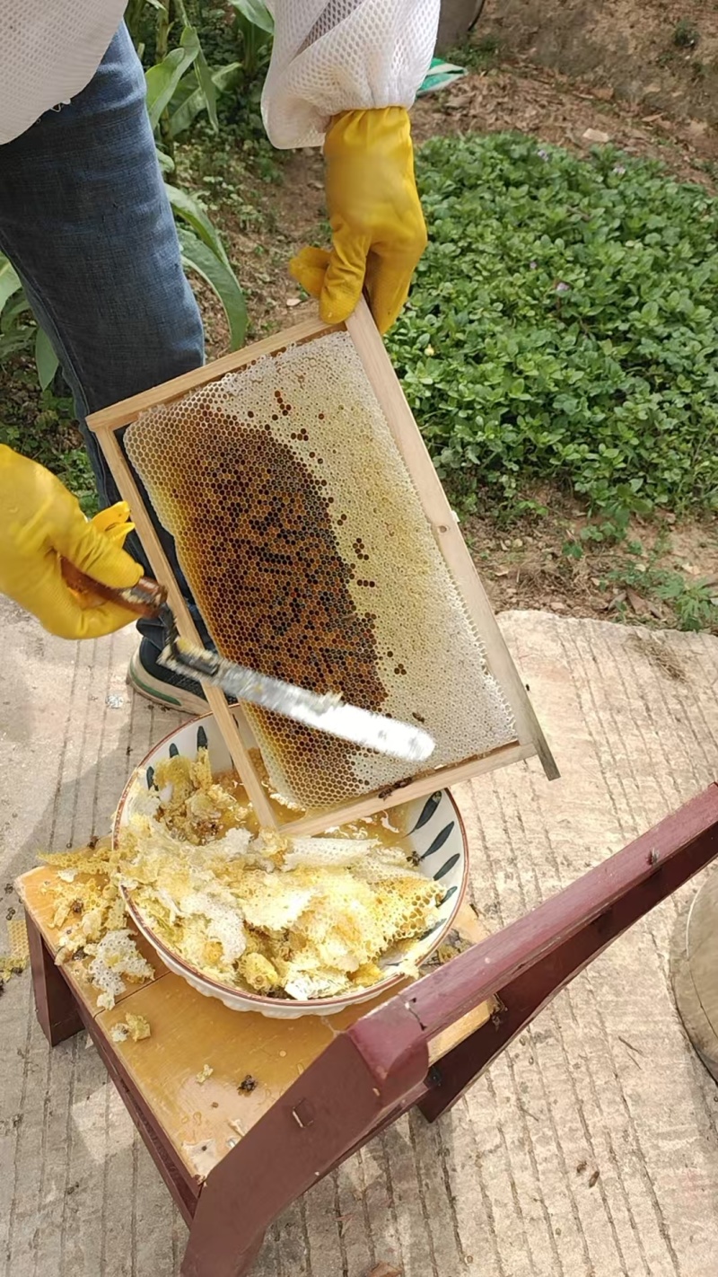 土蜂蜜