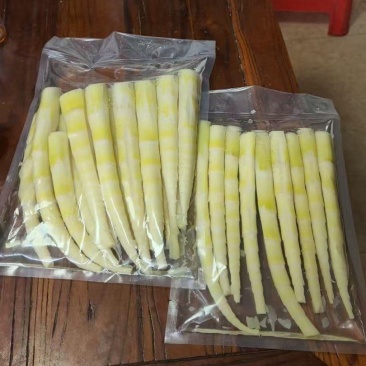 广西竹笋，产地大量发货，对接全国客户，质量保证