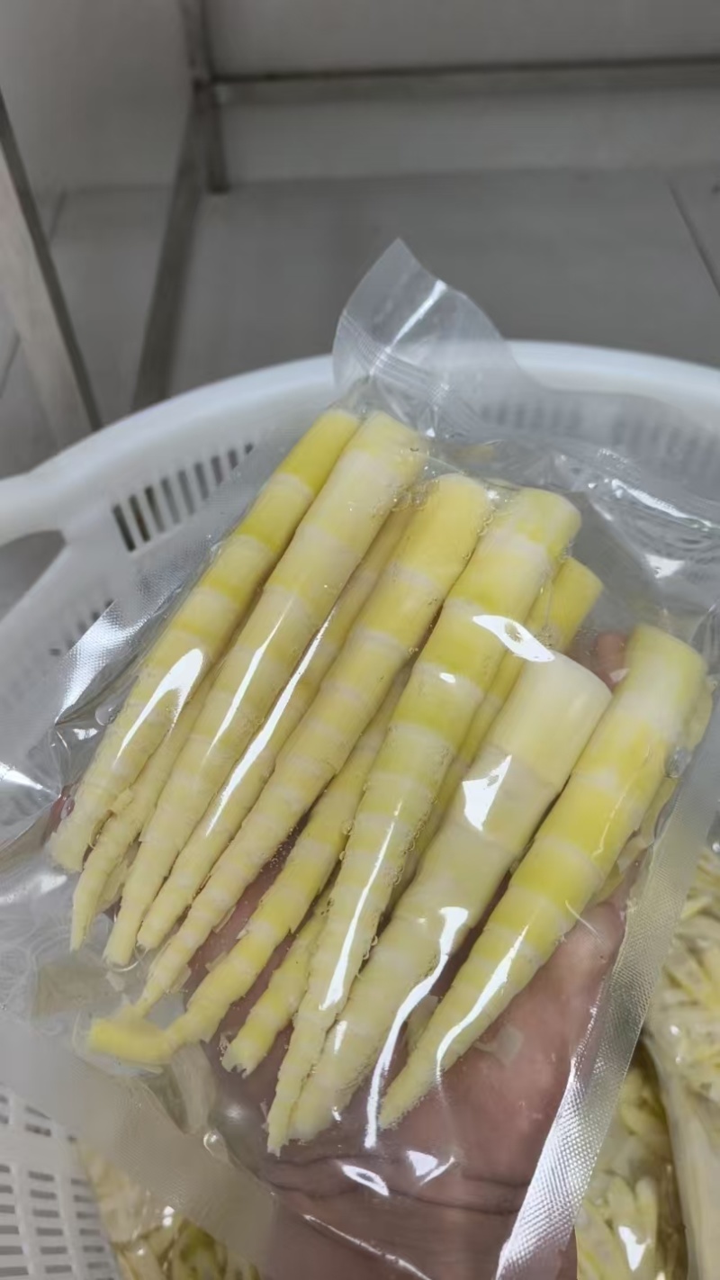 广西竹笋，产地大量发货，对接全国客户，质量保证