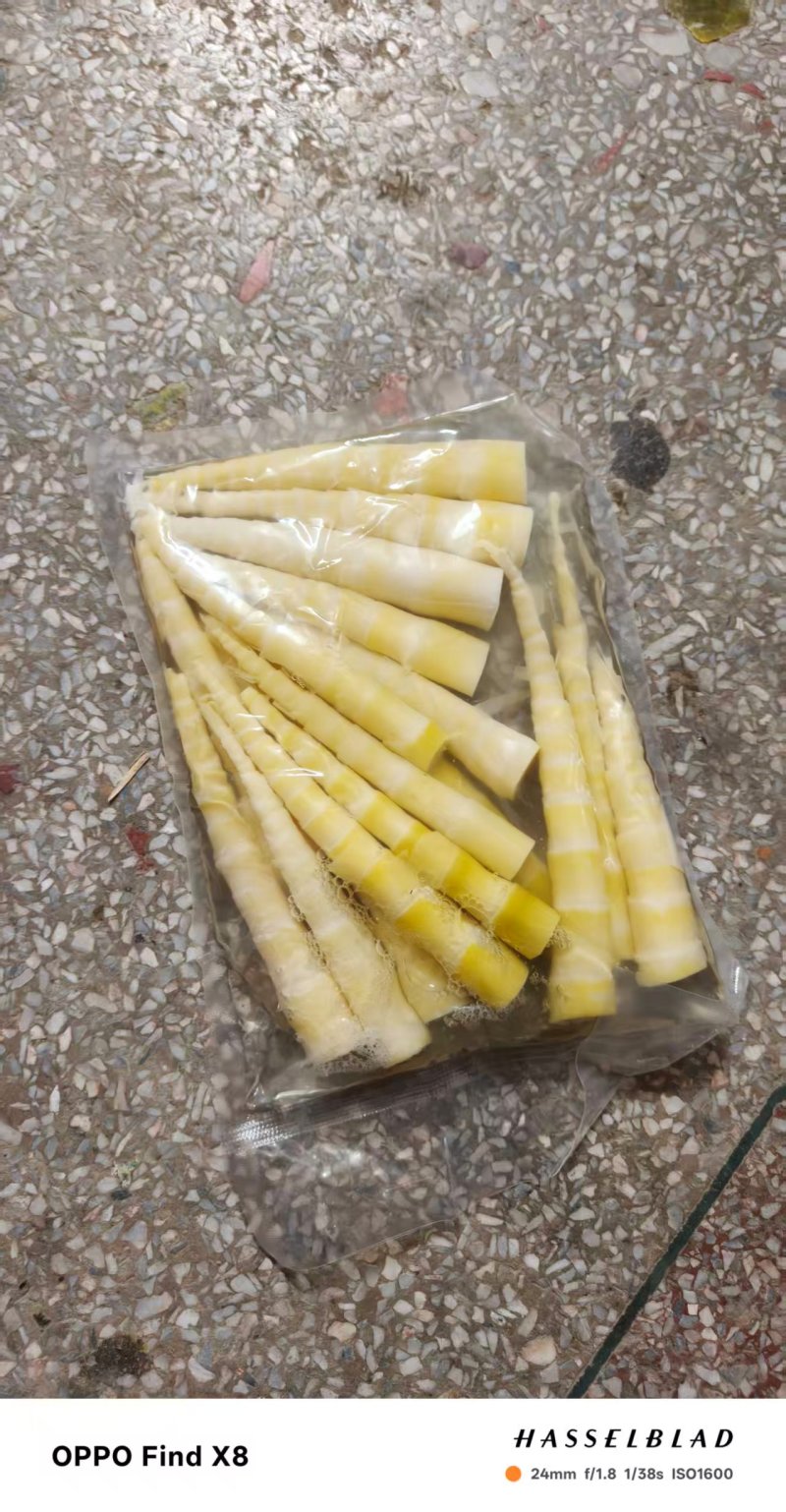 广西竹笋，产地大量发货，对接全国客户，质量保证