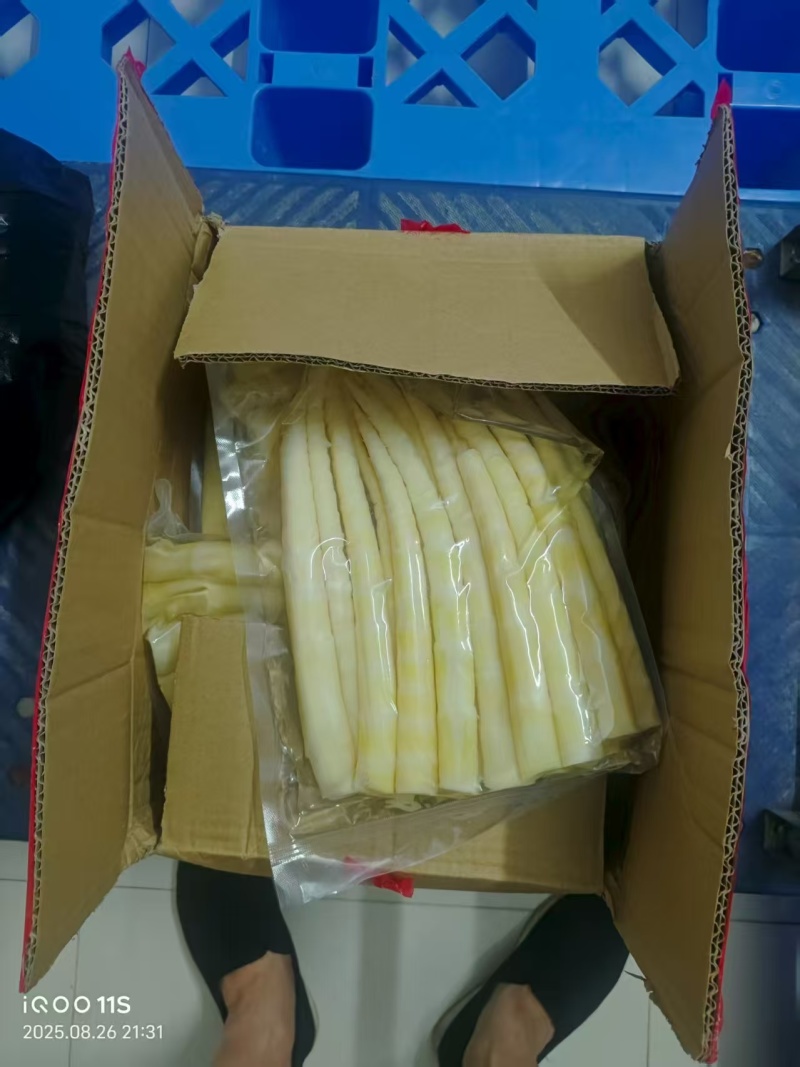 广西竹笋，产地大量发货，对接全国客户，质量保证