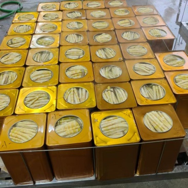 [精品]罐头小竹笋，质量保证，产地发货，一手货源欢迎咨询