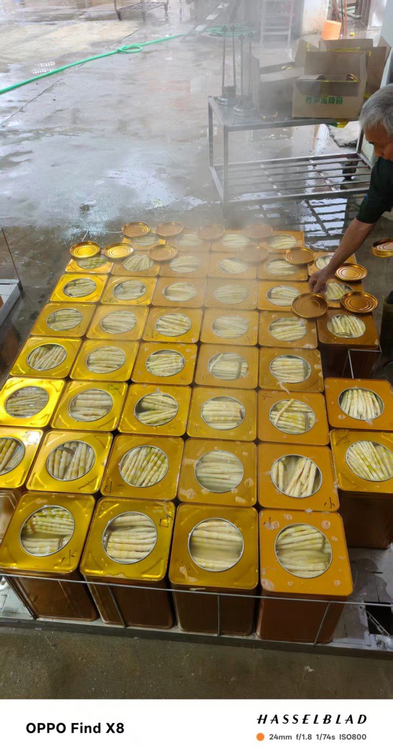 [精品]罐头小竹笋，质量保证，产地发货，一手货源欢迎咨询