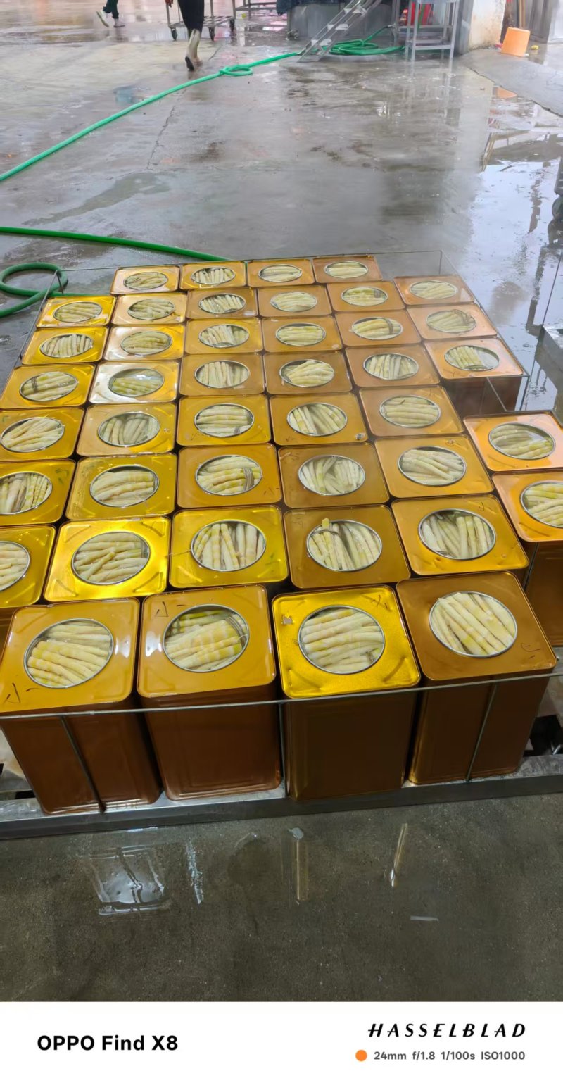 [精品]罐头小竹笋，质量保证，产地发货，一手货源欢迎咨询