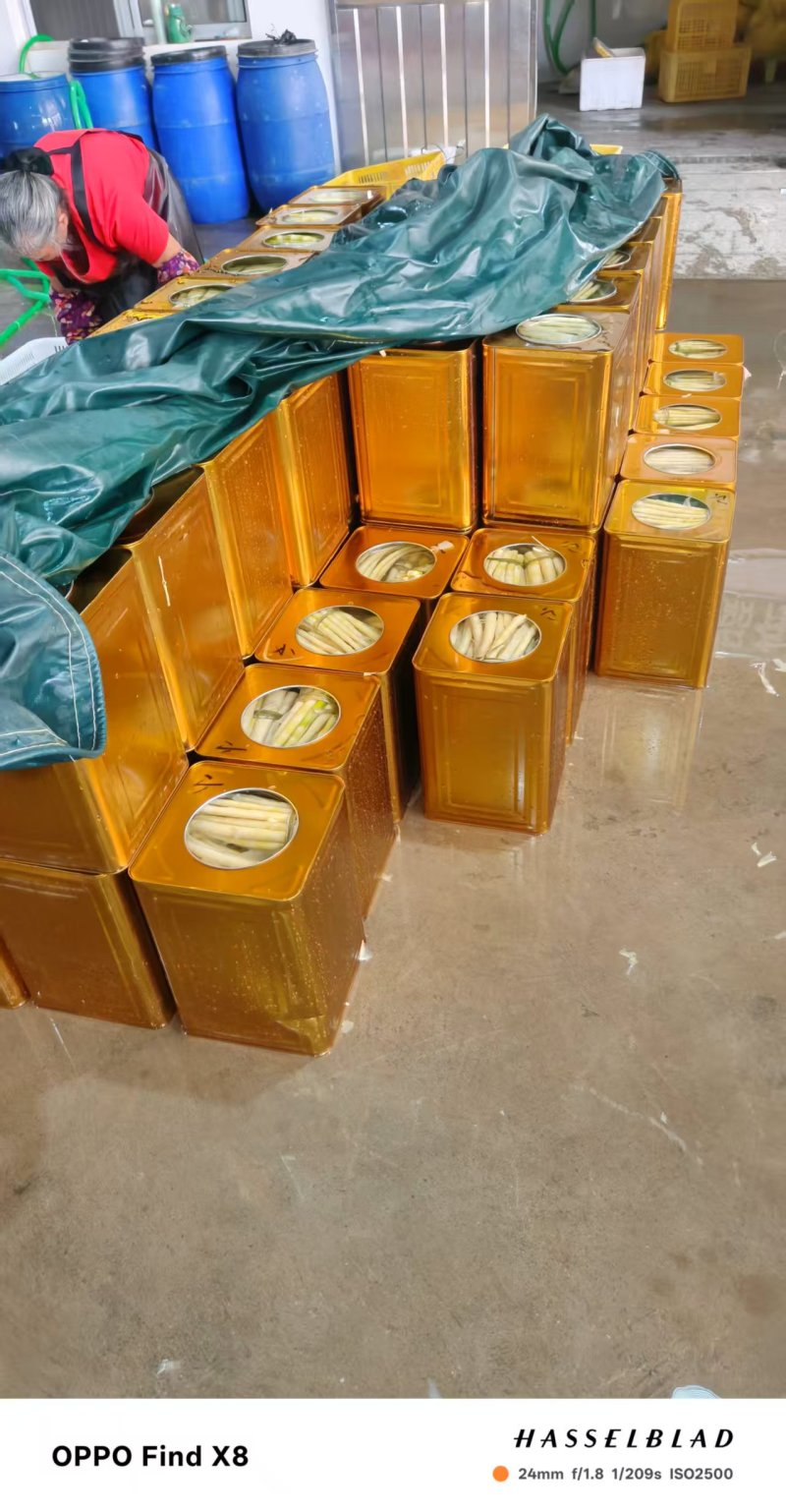 [精品]罐头小竹笋，质量保证，产地发货，一手货源欢迎咨询