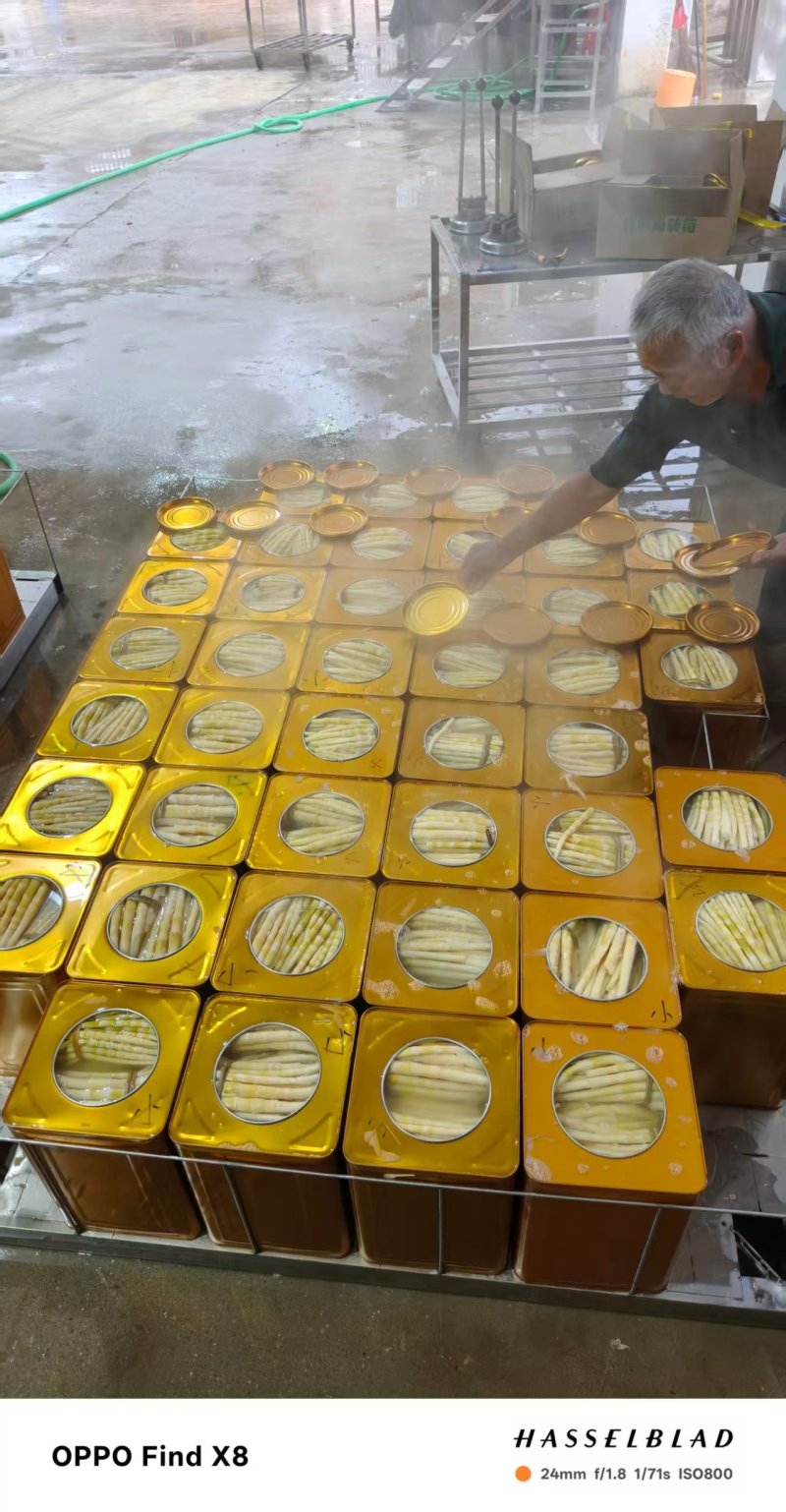 [精品]罐头小竹笋，质量保证，产地发货，一手货源欢迎咨询