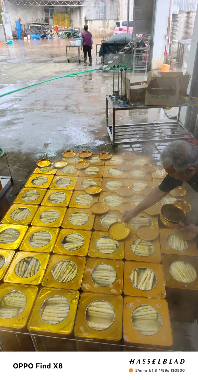 [精品]罐头小竹笋，质量保证，产地发货，一手货源欢迎咨询