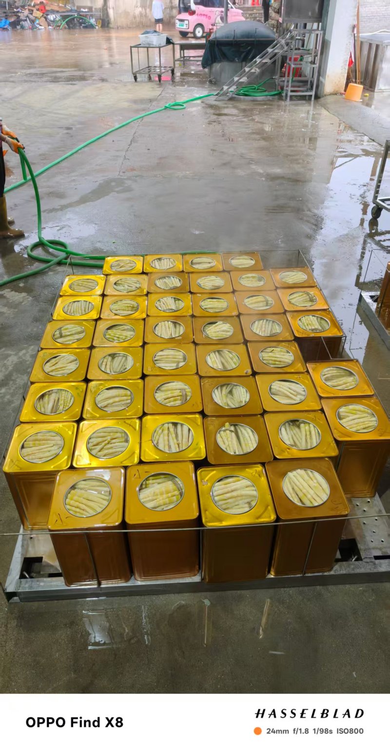 [精品]罐头小竹笋，质量保证，产地发货，一手货源欢迎咨询