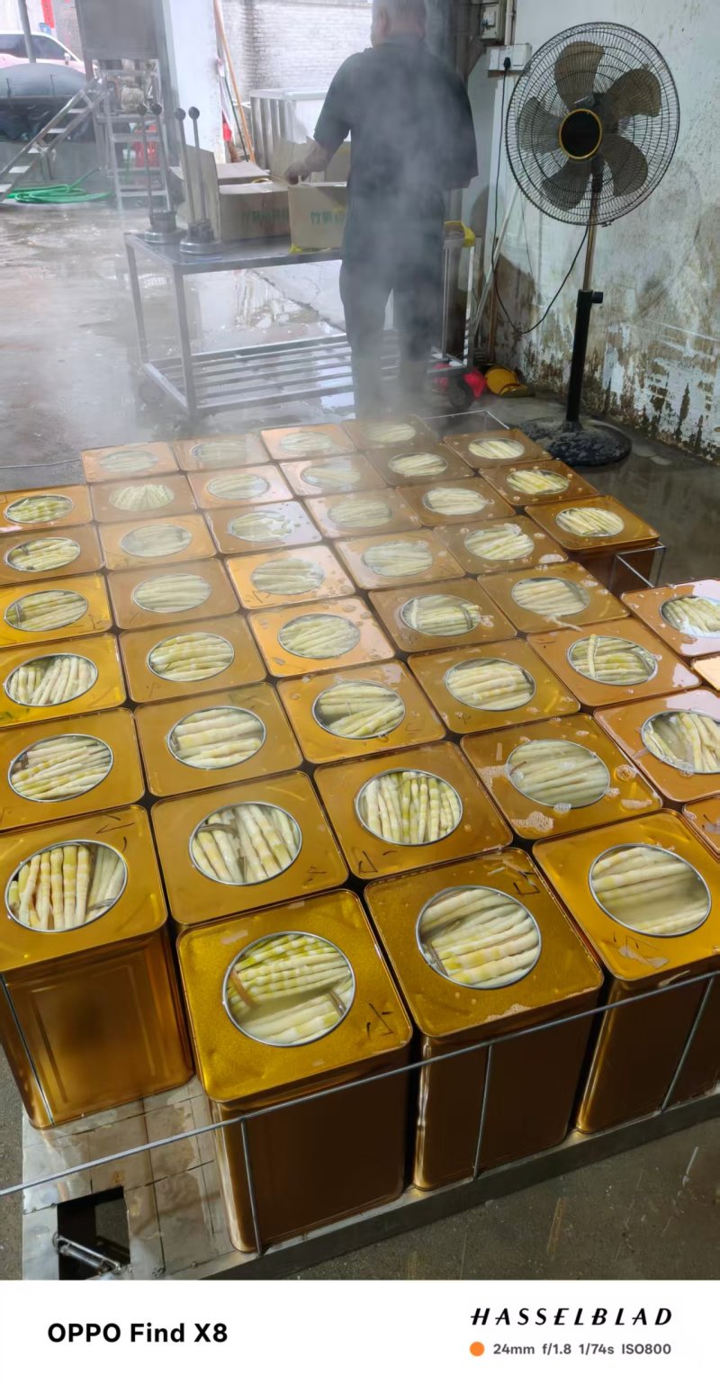 [精品]罐头小竹笋，质量保证，产地发货，一手货源欢迎咨询