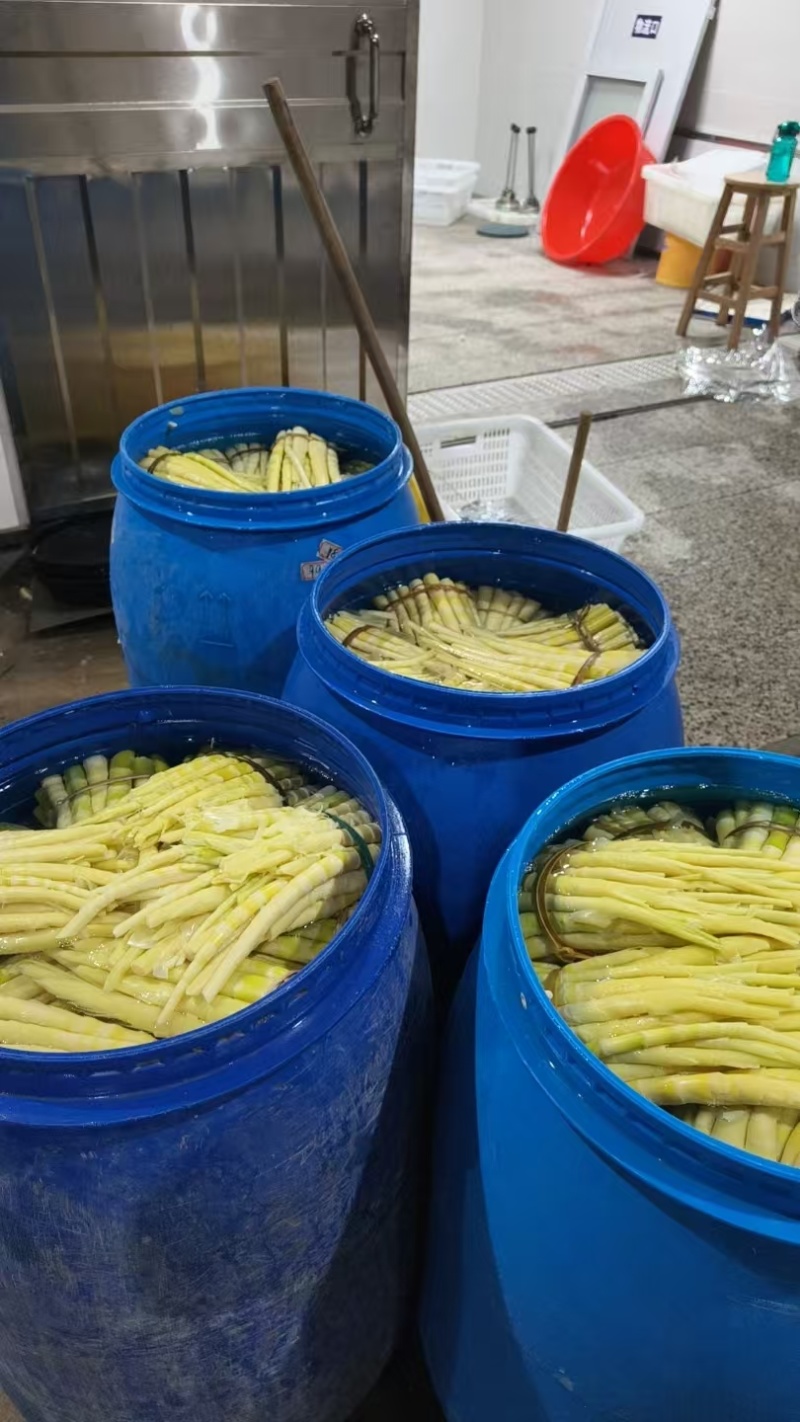 广西高山小竹笋，全国发货，价格优惠，视频实地看货