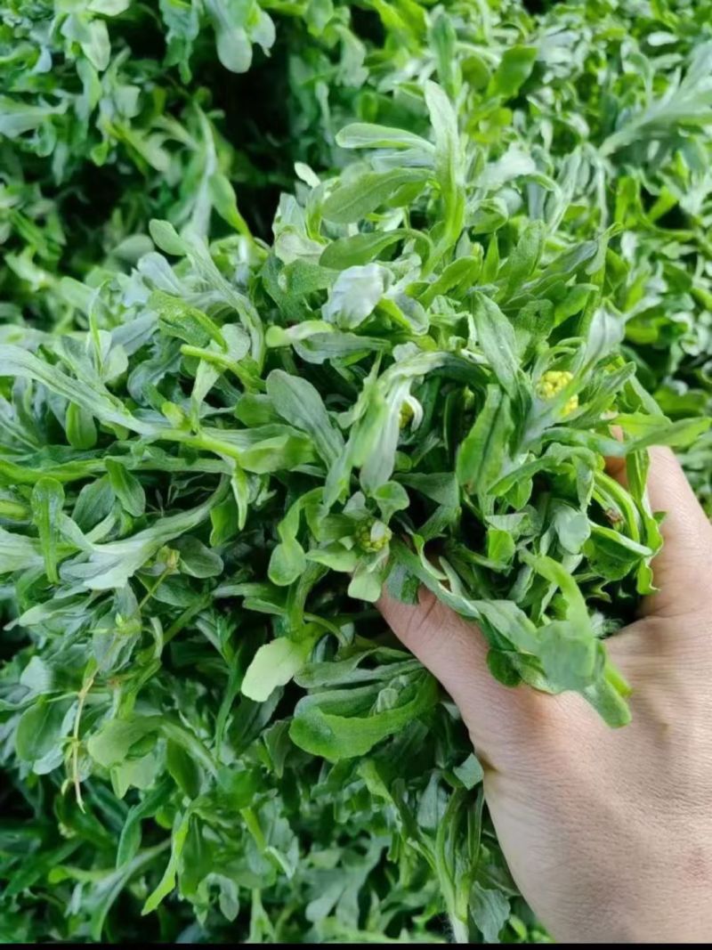 水蜜花粑，艾叶粑