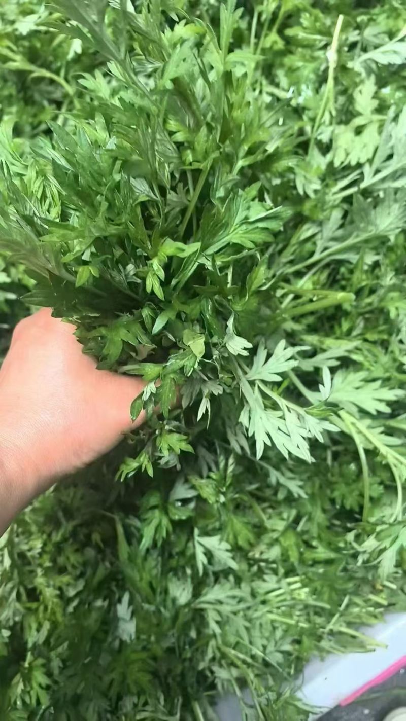 水蜜花粑，艾叶粑
