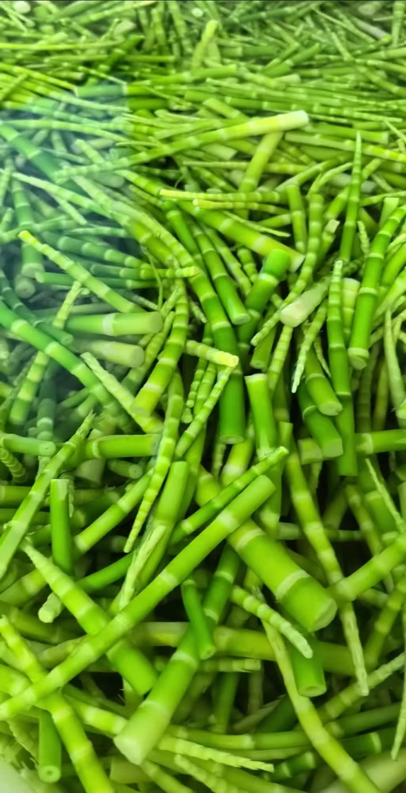 广西精品绿笋，产地直发，一手货源，质量保证，价格优惠