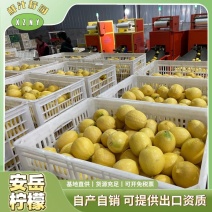 四川安岳黄柠檬新鲜水果精选皮薄一级特产尤力克鲜甜柠檬