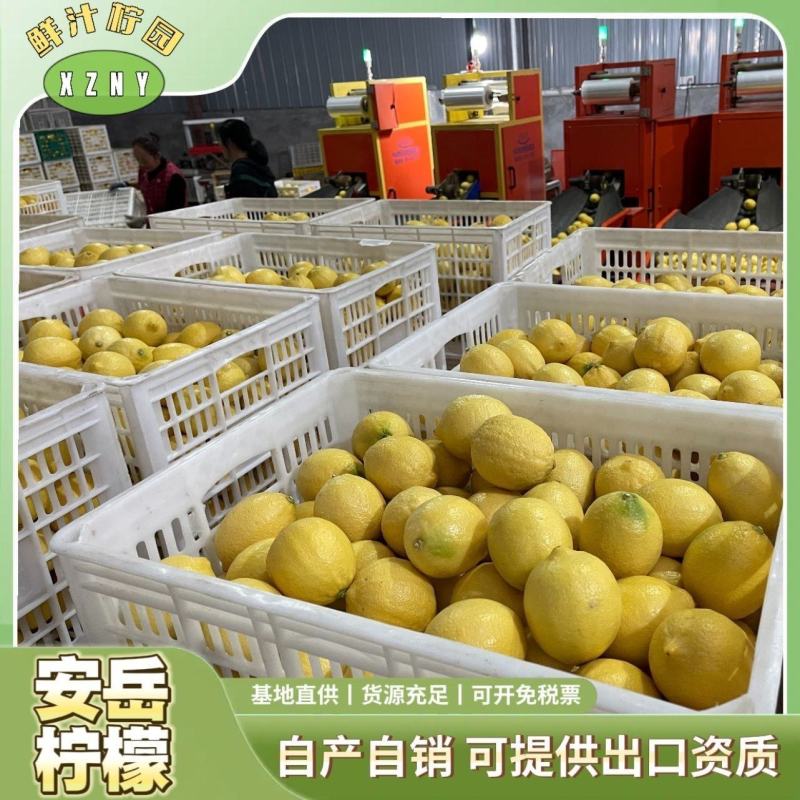 四川安岳黄柠檬新鲜水果精选皮薄一级特产尤力克鲜甜柠檬