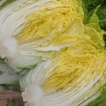 黄心大白菜市场商超**