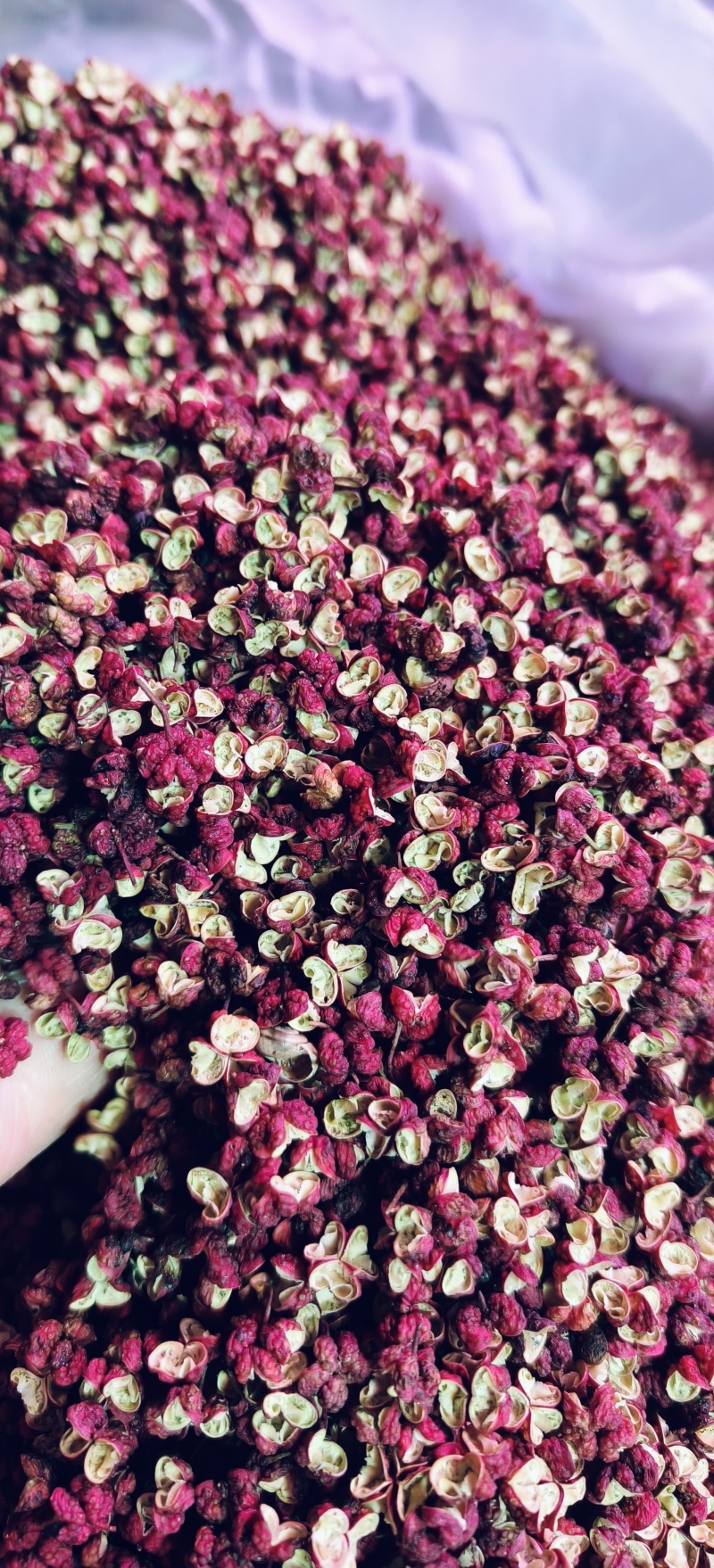 茂汶.一手货源.精选
