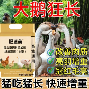 鹅饲料日长二两，后期快速催肥增重，羽毛靓丽