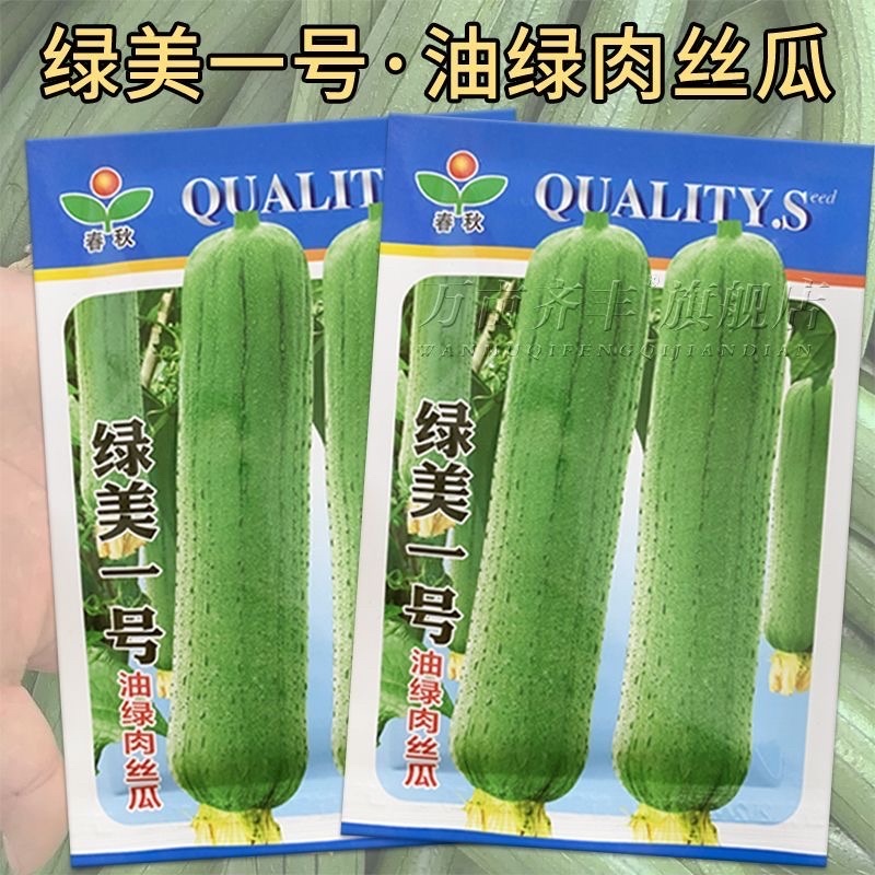 绿美一号肉丝瓜种子早熟分支力强质地松软肉厚肥嫩纤维少