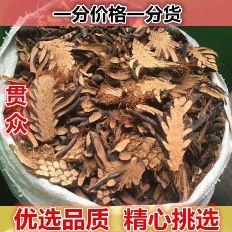 贯众绵马贯众/贯渠/百头/虎卷/贯仲贯节中药材批发零售