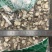 江西野生粉防己片正宗粉性足防己大货中药材批发零售