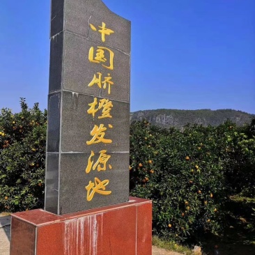 湖南邵阳崀山脐橙