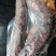 本人专营腊肉腊肠这只是少量的一部，有需要的联系