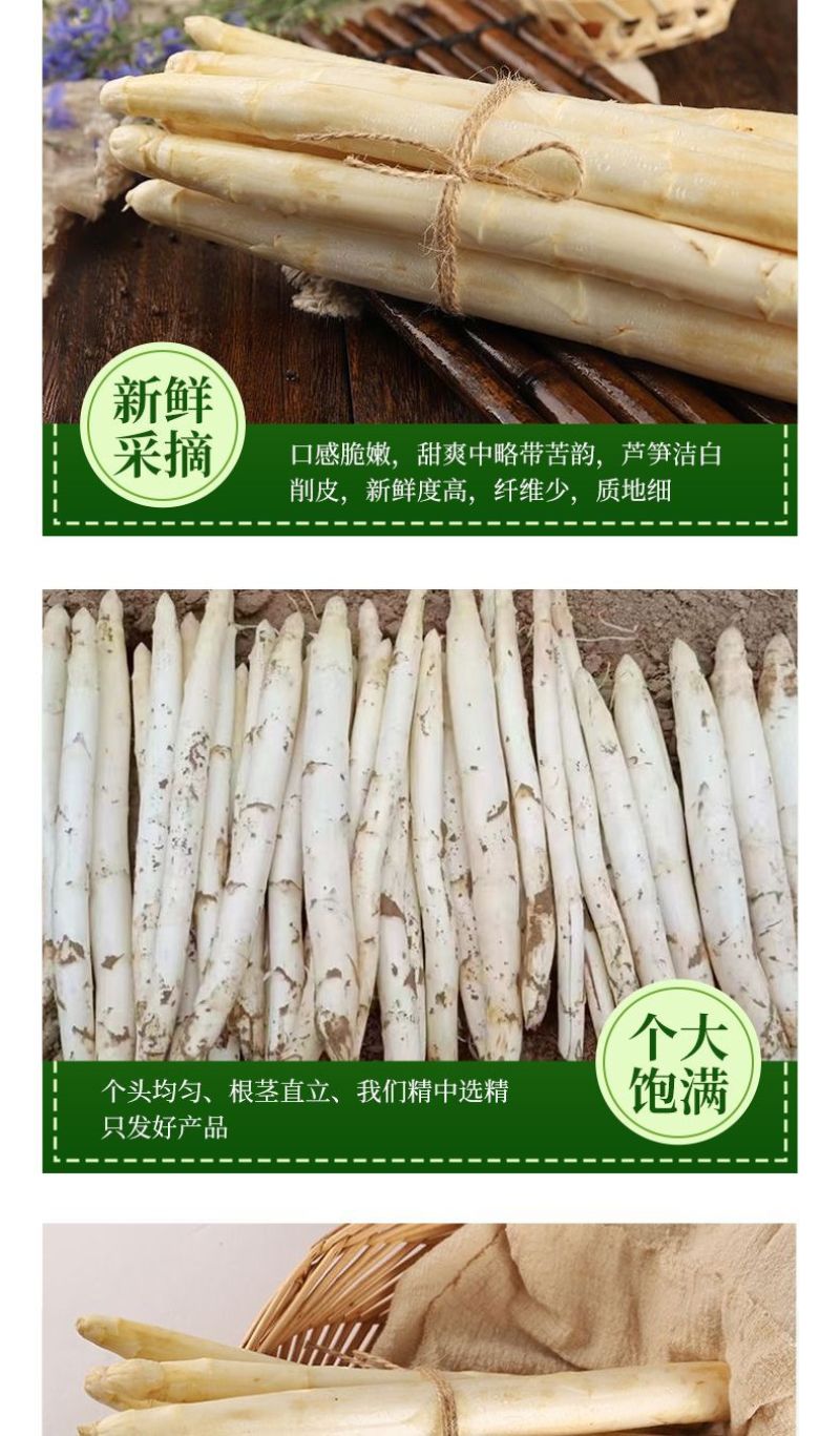 山东曹县特产白芦笋龙须菜特菜酒店西餐厅食材市场供应