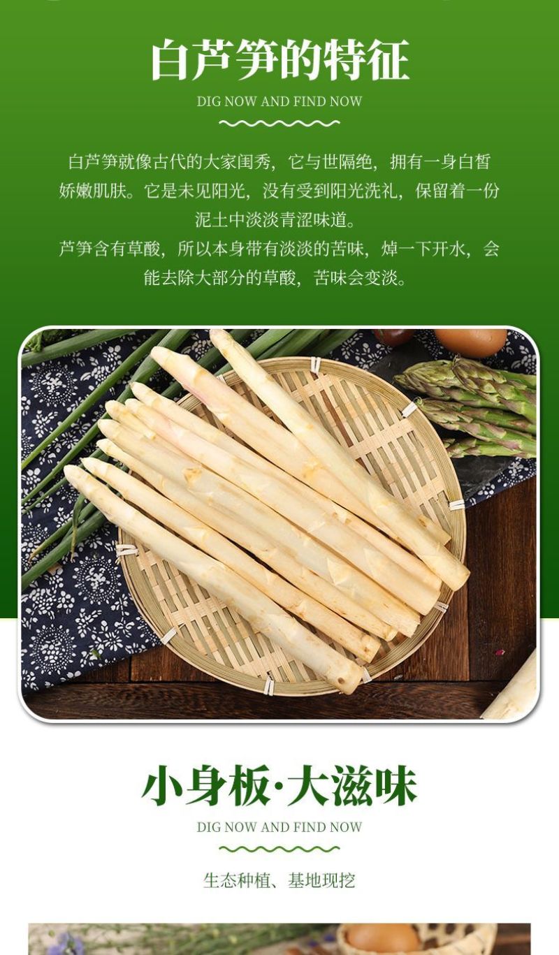 山东曹县特产白芦笋龙须菜特菜酒店西餐厅食材市场供应