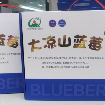 大凉山蓝莓
