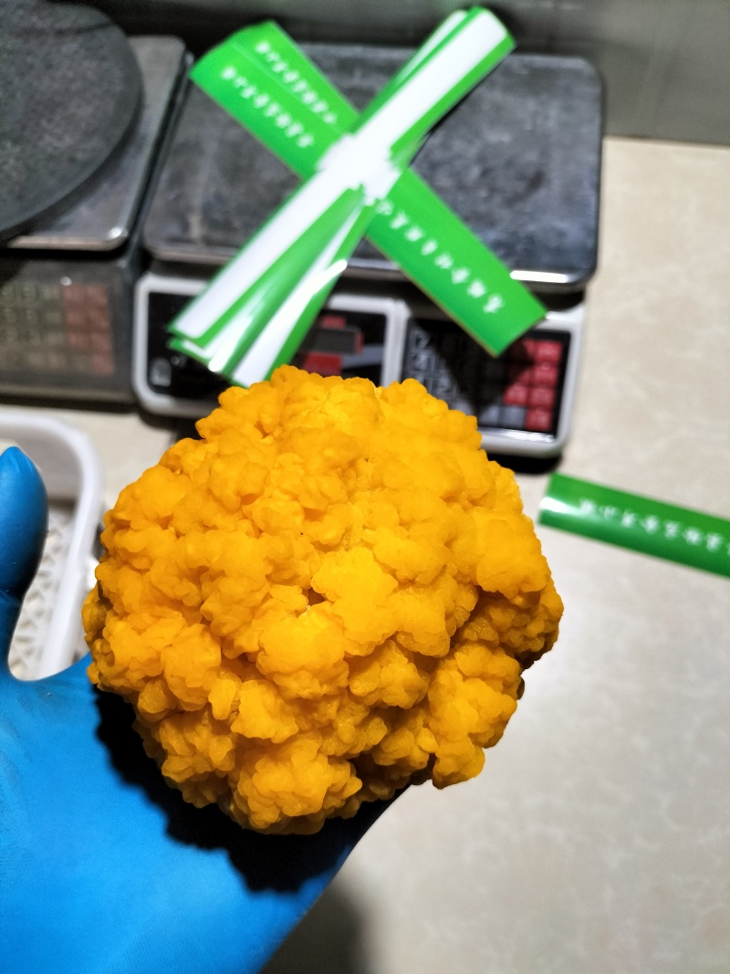 新鲜食用菌金耳，鲜采鲜发，基地直供。拒绝中间商赚差价！！