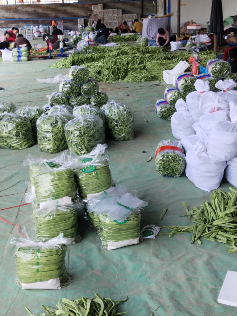 -这才是芸豆天花板！青扁芸豆脆嫩无筋超下饭