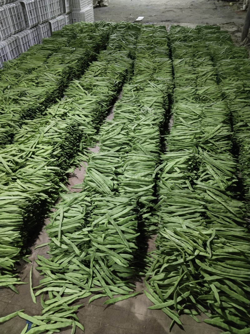 -这才是芸豆天花板！青扁芸豆脆嫩无筋超下饭